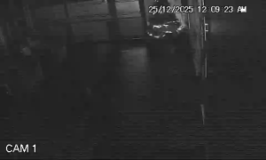 Caméra IP - Neuseeland