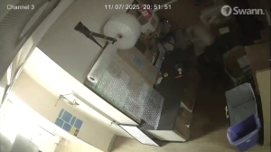 Caméra IP - United States of America