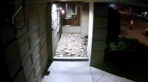 Caméra IP - Vereinigte Staaten von Amerika