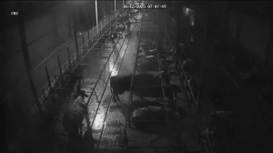 Caméra IP - Alemania