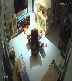 Caméra IP - Thailand