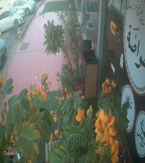 Caméra IP - Arabia Saudita