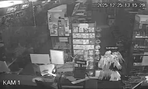 Caméra IP - Polonia