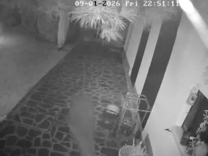 Caméra IP - Italien