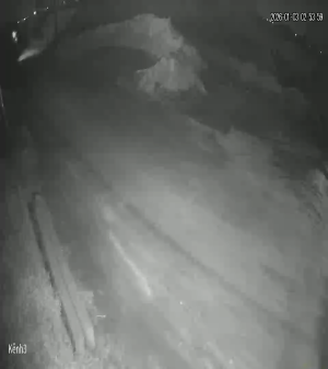 Caméra IP - Vietnam