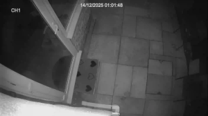 Caméra IP - Royaume-Uni