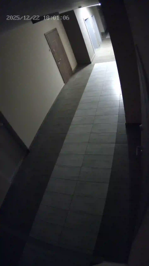 Caméra IP - Ucrania