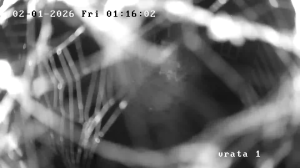 Caméra IP - Czech Republic