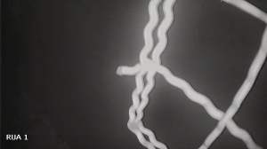 Caméra IP - Brasilien