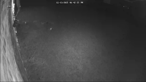 Caméra IP - États-Unis d'Amérique