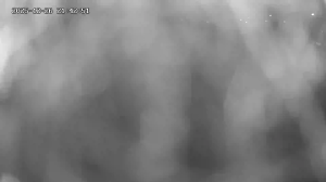 Caméra IP - Pologne