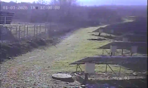 Caméra IP - Bulgarien