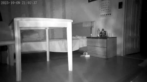 Caméra IP - South Korea