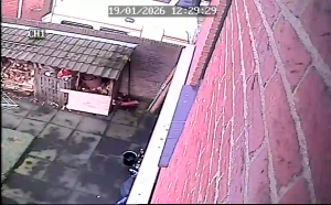 Caméra IP - Netherlands