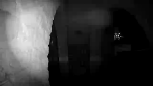 Caméra IP - Paesi Bassi