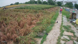 Caméra IP - Vietnam