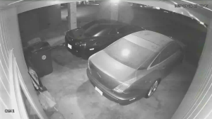 Caméra IP - United States of America