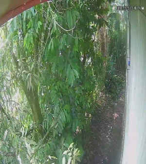 Caméra IP - Costa Rica