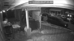 Caméra IP - Vereinigte Staaten von Amerika