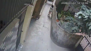 Caméra IP - Vietnam