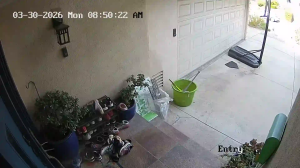 Caméra IP - Vereinigte Staaten von Amerika