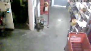 Caméra IP - Singapore