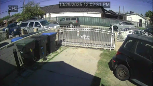 Caméra IP - Vereinigte Staaten von Amerika