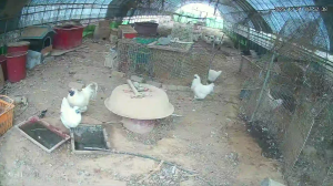 Caméra IP - República de Corea