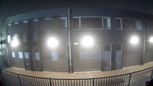 Caméra IP - Vue en direct