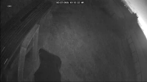 Caméra IP - Estados Unidos