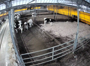 Caméra IP - Corée du Sud