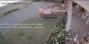 Caméra IP - Turchia