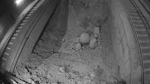 Caméra IP - Ucrania