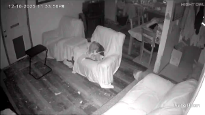 Caméra IP - États-Unis d'Amérique