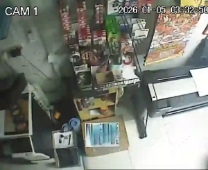 Caméra IP - Malaisie