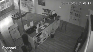 Caméra IP - Estados Unidos