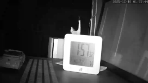 Caméra IP - Finland