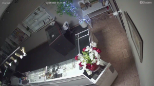 Caméra IP - Canadá