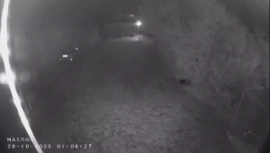 Caméra IP - Frankreich