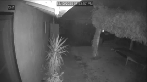 Caméra IP - États-Unis d'Amérique