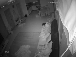 Caméra IP - South Korea