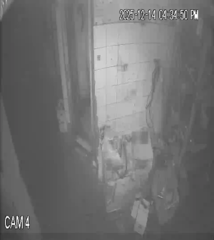 Caméra IP - Ägypten