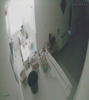 Caméra IP - Israël