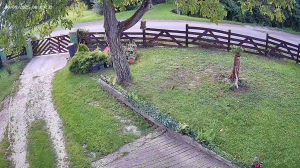 Caméra IP - Hungary