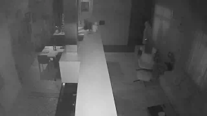 Caméra IP - Russian Federation