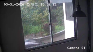 Caméra IP - People's Republic of China