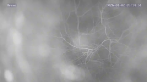 Caméra IP - Slovakia