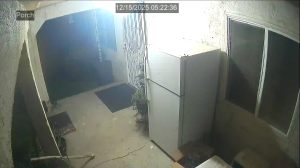 Caméra IP - Vereinigte Staaten von Amerika