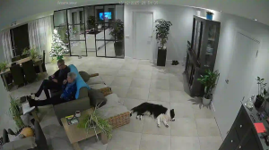 Caméra IP - Países Bajos