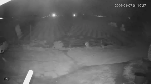 Caméra IP - Corée du Sud